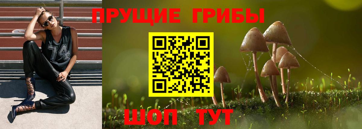 где купить   Вход с VPN  Оренбург  Галлюциногенные грибы GOLDEN TEACHER 